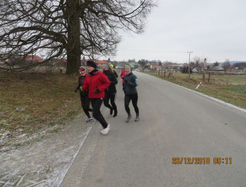 C:\fakepath\IMG 0028