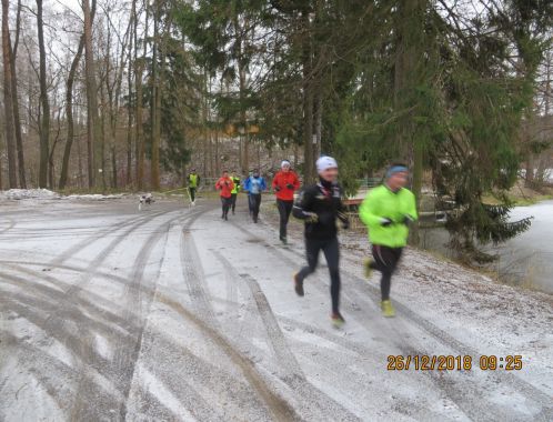 C:\fakepath\IMG 0044