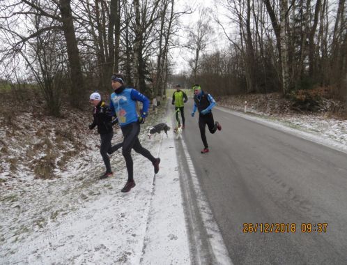 C:\fakepath\IMG 0117