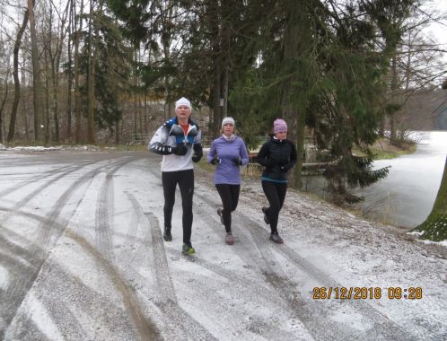 C:\fakepath\IMG 0099