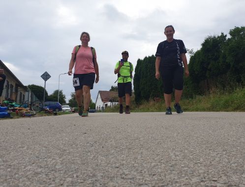 Javořická 50