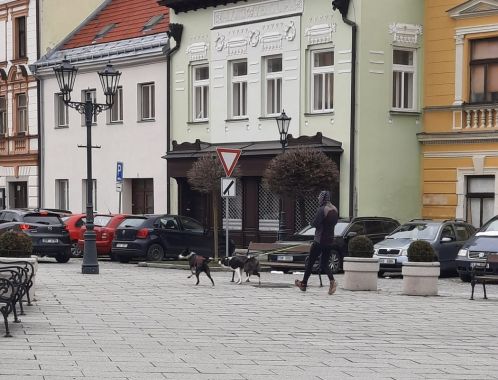 Velikonoční výběh 2023