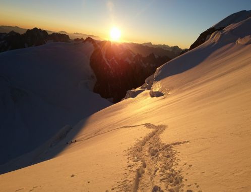 C:\fakepath\DSC 3023