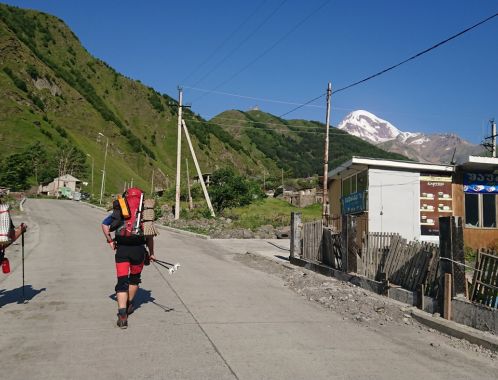 C:\fakepath\DSC 9525