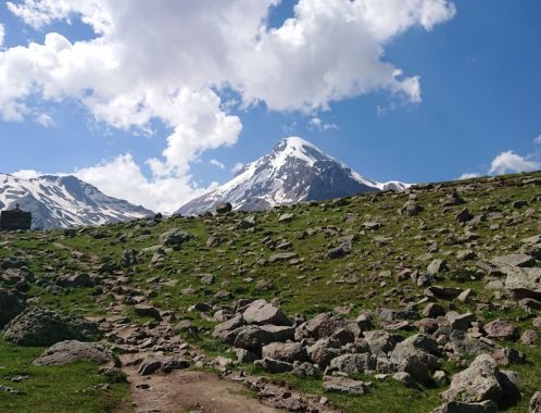 C:\fakepath\DSC 9586