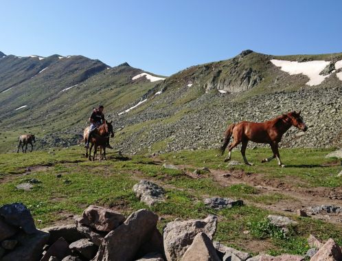 C:\fakepath\DSC 9605