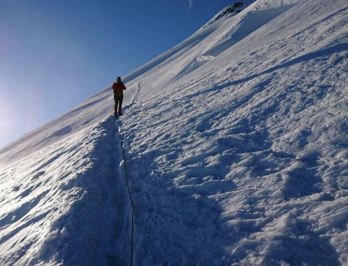 C:\fakepath\DSC 9644