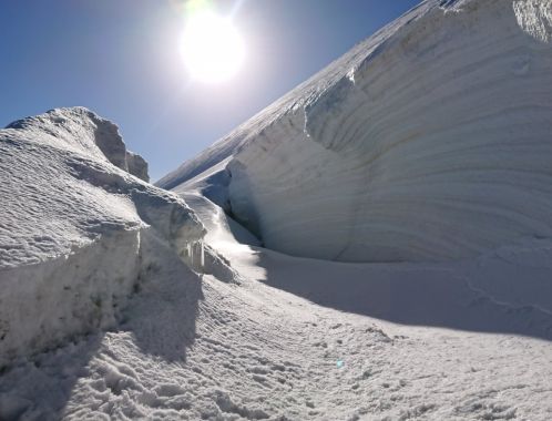 C:\fakepath\DSC 9648