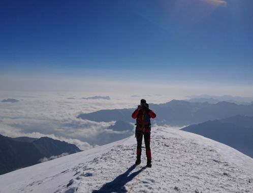 C:\fakepath\DSC 9666