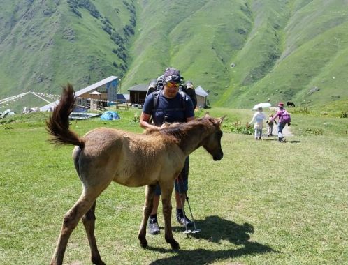 C:\fakepath\IMG 20180706 WA0072