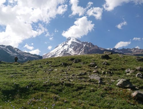 C:\fakepath\DSC 9595