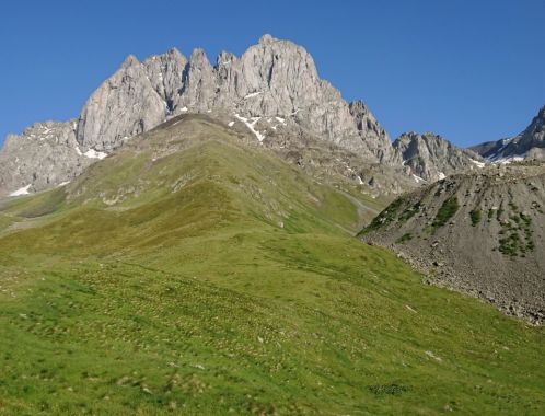 C:\fakepath\DSC 9772