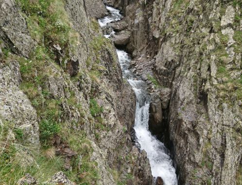 C:\fakepath\DSC 9825