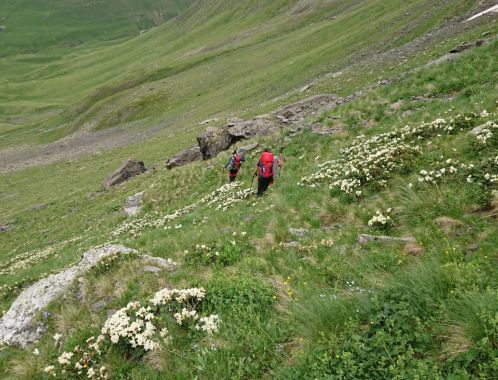 C:\fakepath\DSC 9831