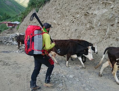 C:\fakepath\DSC 9850