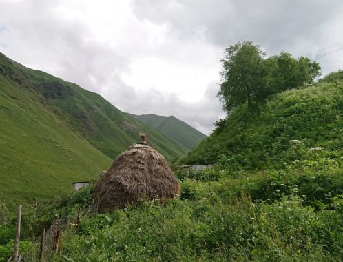 C:\fakepath\DSC 9865