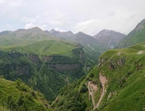 C:\fakepath\DSC 9887