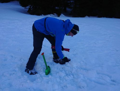 C:\fakepath\DSC 0138