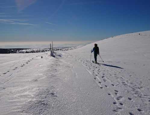 C:\fakepath\DSC 0205