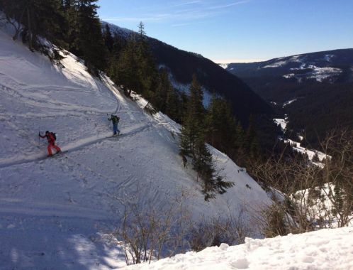 C:\fakepath\IMG 20190217 WA0055