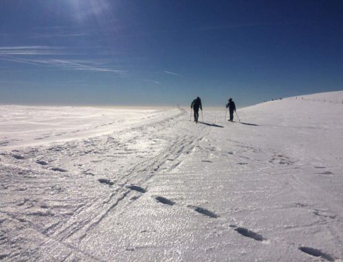 C:\fakepath\IMG 20190217 WA0089