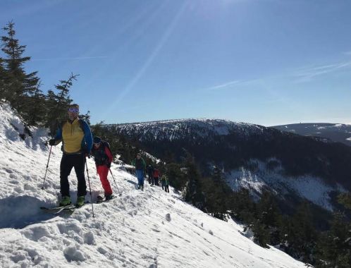 C:\fakepath\IMG 20190218 WA0006