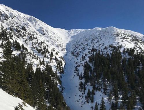 C:\fakepath\IMG 20190218 WA0008