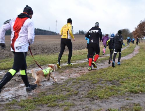 C:\fakepath\PKN 0621