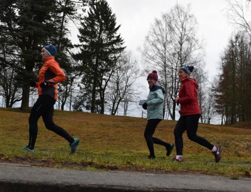 C:\fakepath\PKN 0666