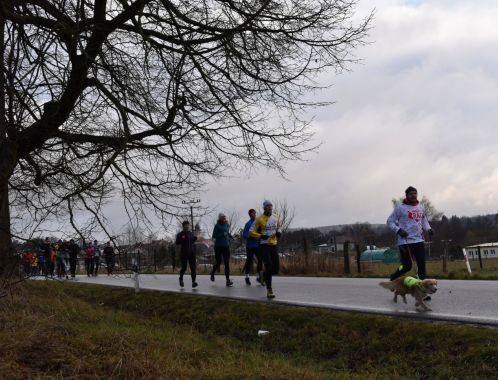 C:\fakepath\PKN 0620