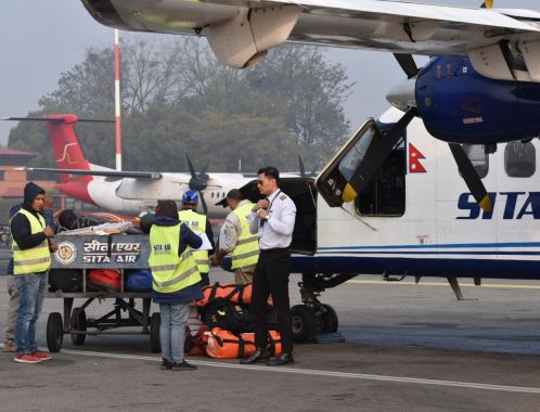 C:\fakepath\DSC 0011 1