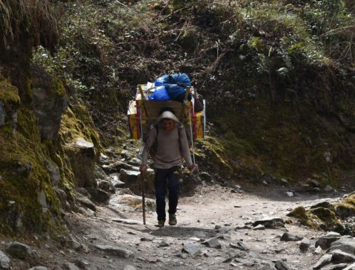 C:\fakepath\DSC 0050 1