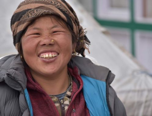 C:\fakepath\DSC 0110 1