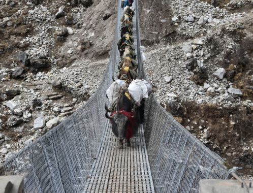 C:\fakepath\DSC 0236 2