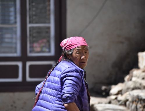 C:\fakepath\DSC 0260