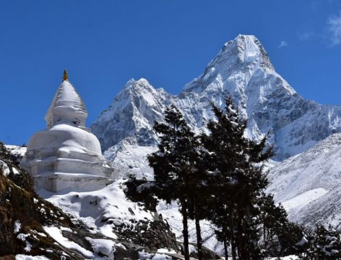 C:\fakepath\DSC 0317 1