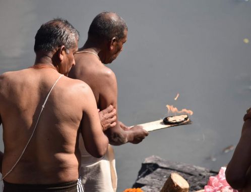 C:\fakepath\DSC 0372 3