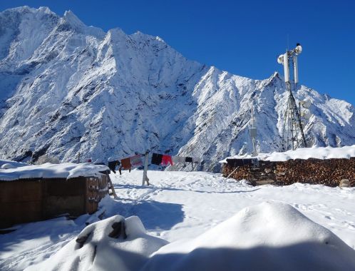 C:\fakepath\DSC 0481