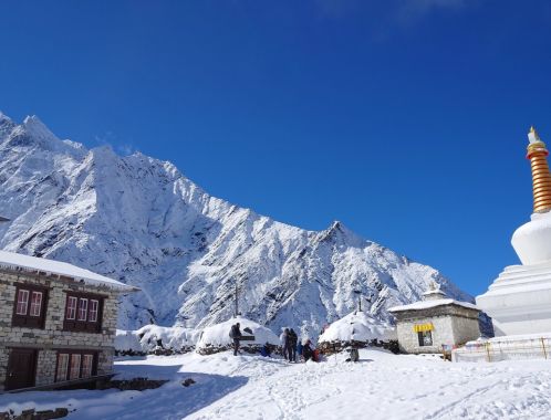 C:\fakepath\DSC 0488