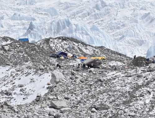 C:\fakepath\DSC 0719