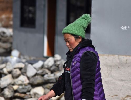 C:\fakepath\DSC 0957