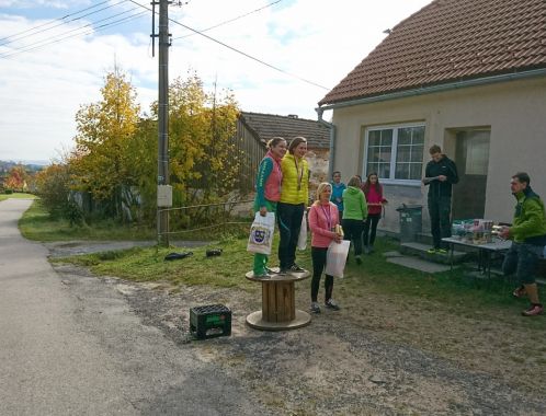 C:\fakepath\DSC 8186