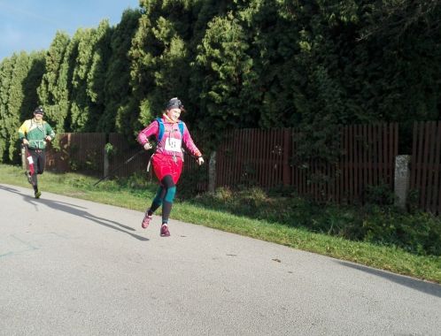 C:\fakepath\IMG 20171014 083253