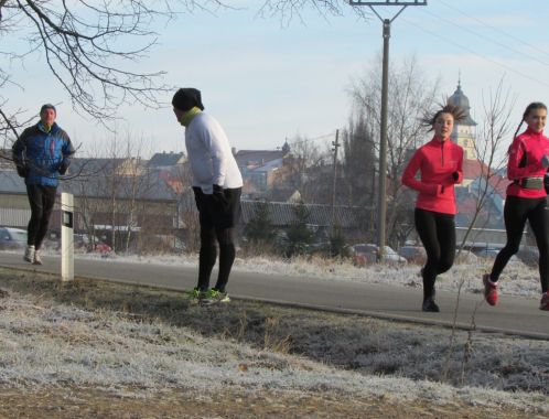 C:\fakepath\IMG 9410