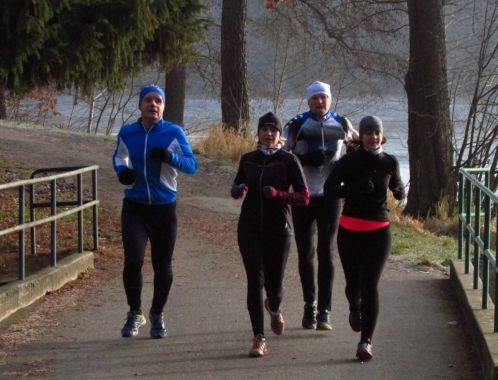 C:\fakepath\IMG 9450