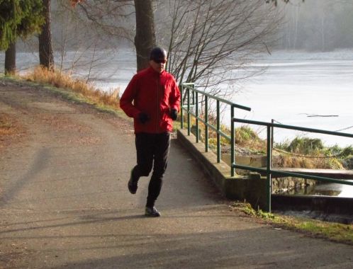 C:\fakepath\IMG 9454