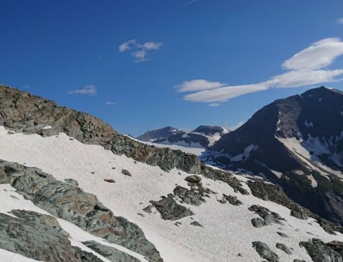 C:\fakepath\DSC 9211