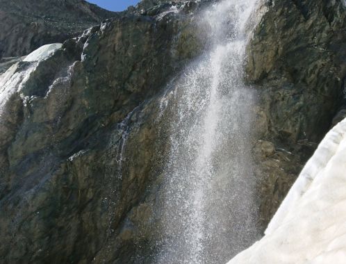 C:\fakepath\DSC 9219