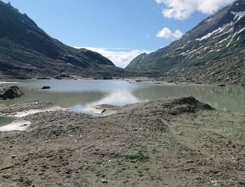 C:\fakepath\DSC 9224