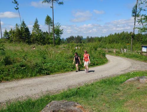 POČÁTECKÝ PŮLMARATON 2022